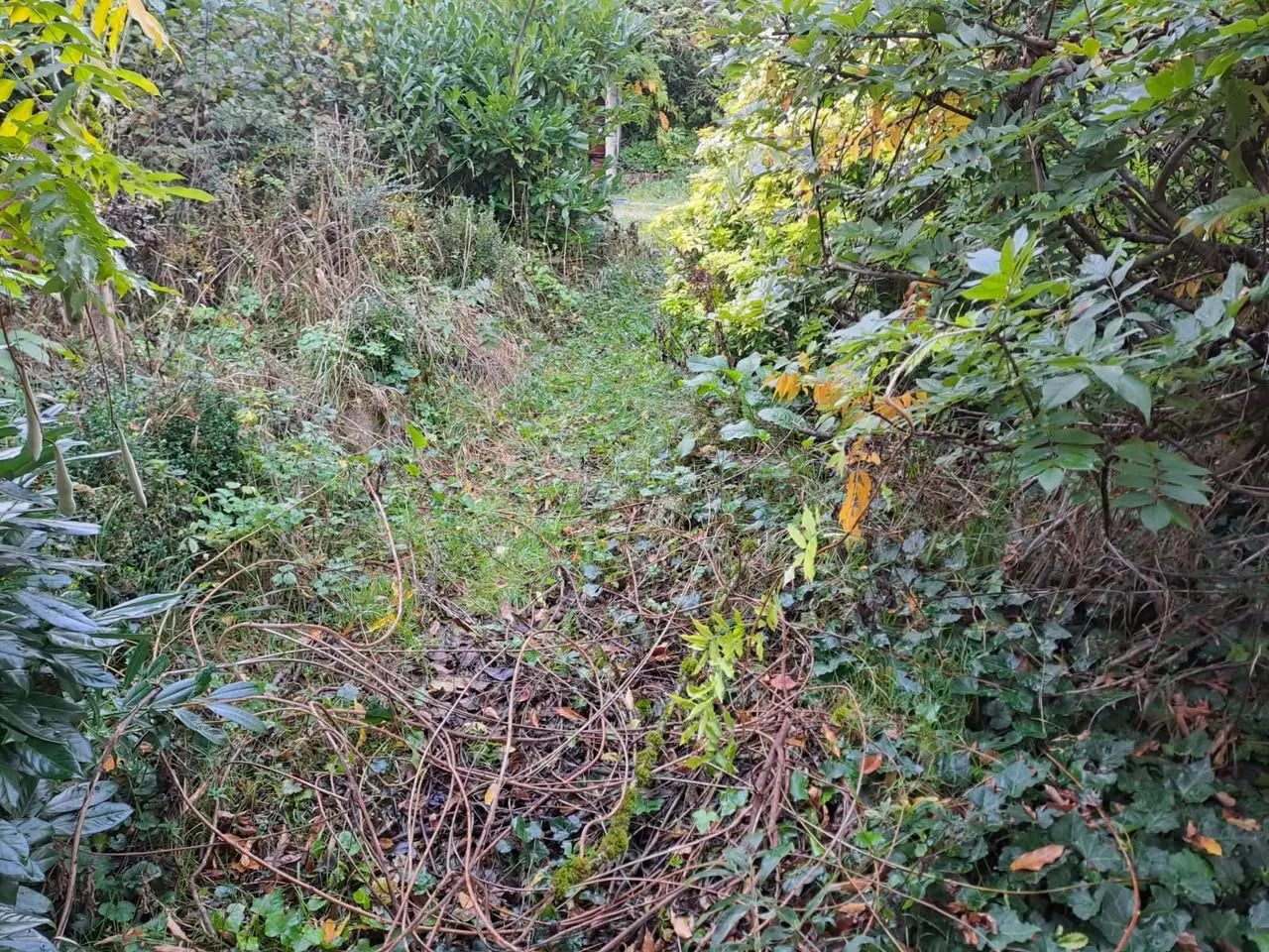 Création d'un accès en béton balayé à Saint-Julien-en-Genevois — photo 1